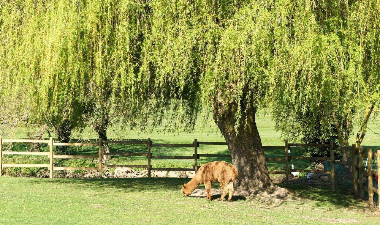 Hotel Les Suites - Domaine De Crecy Bagian luar foto